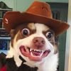 Juan