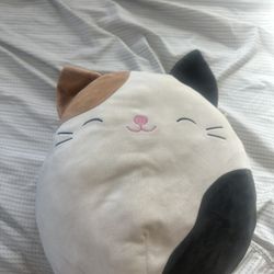 Cat Plushie