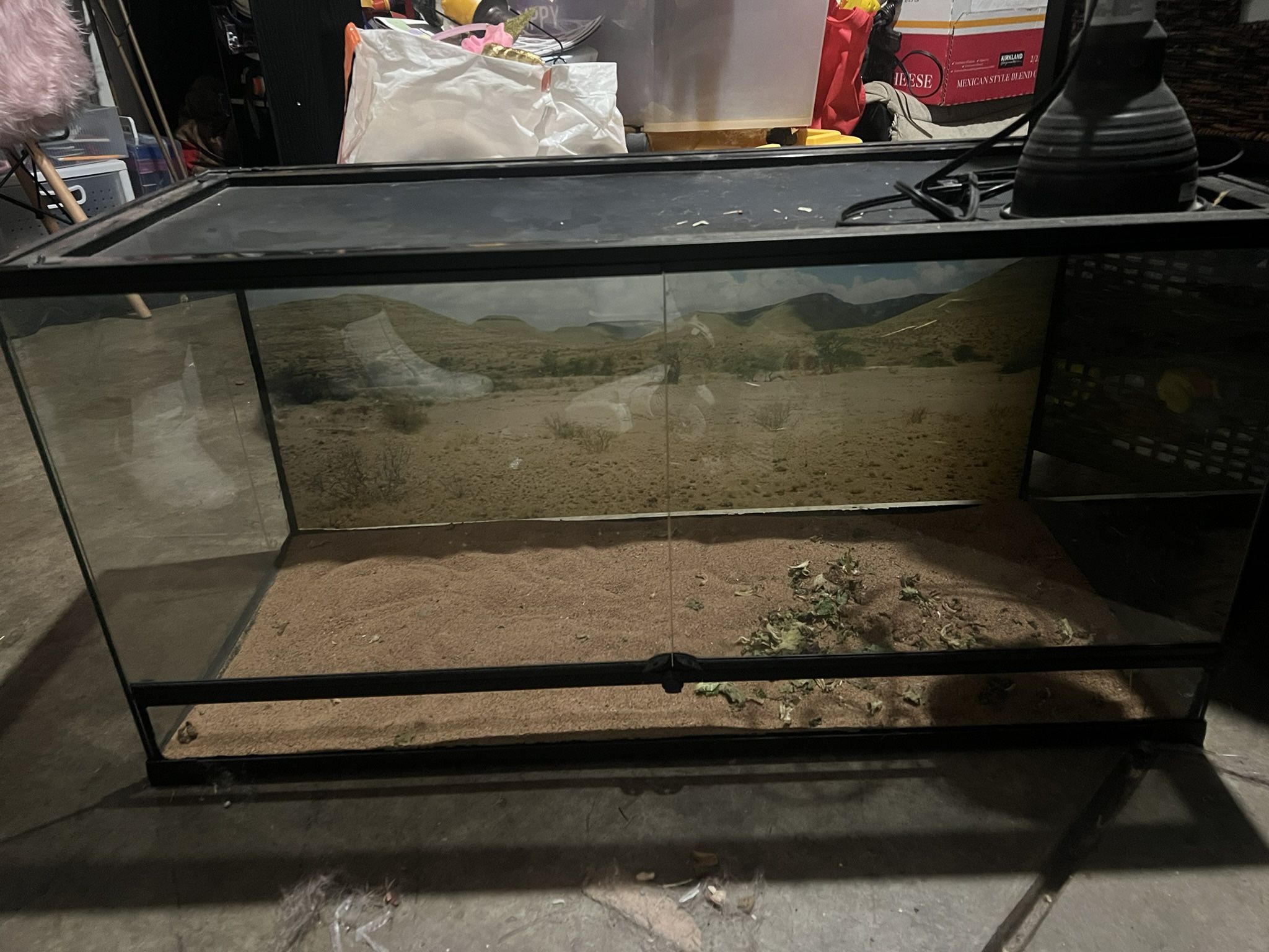 Reptile Tank