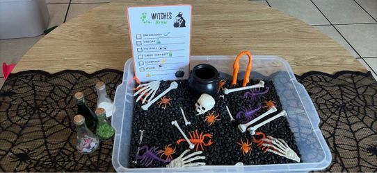 Sensory Bins
