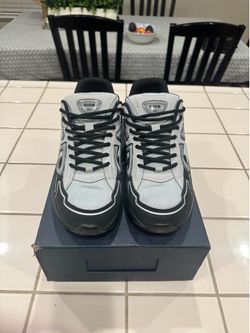 Dior B30 grey and black