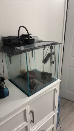 🐠 15–20 Nano Gallon Saltwater Aquarium Setup – Complete Setup