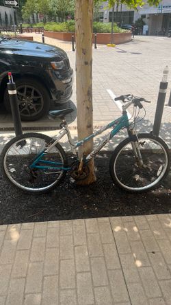 Next mountain bike
