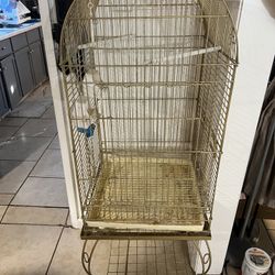 Bird Cage