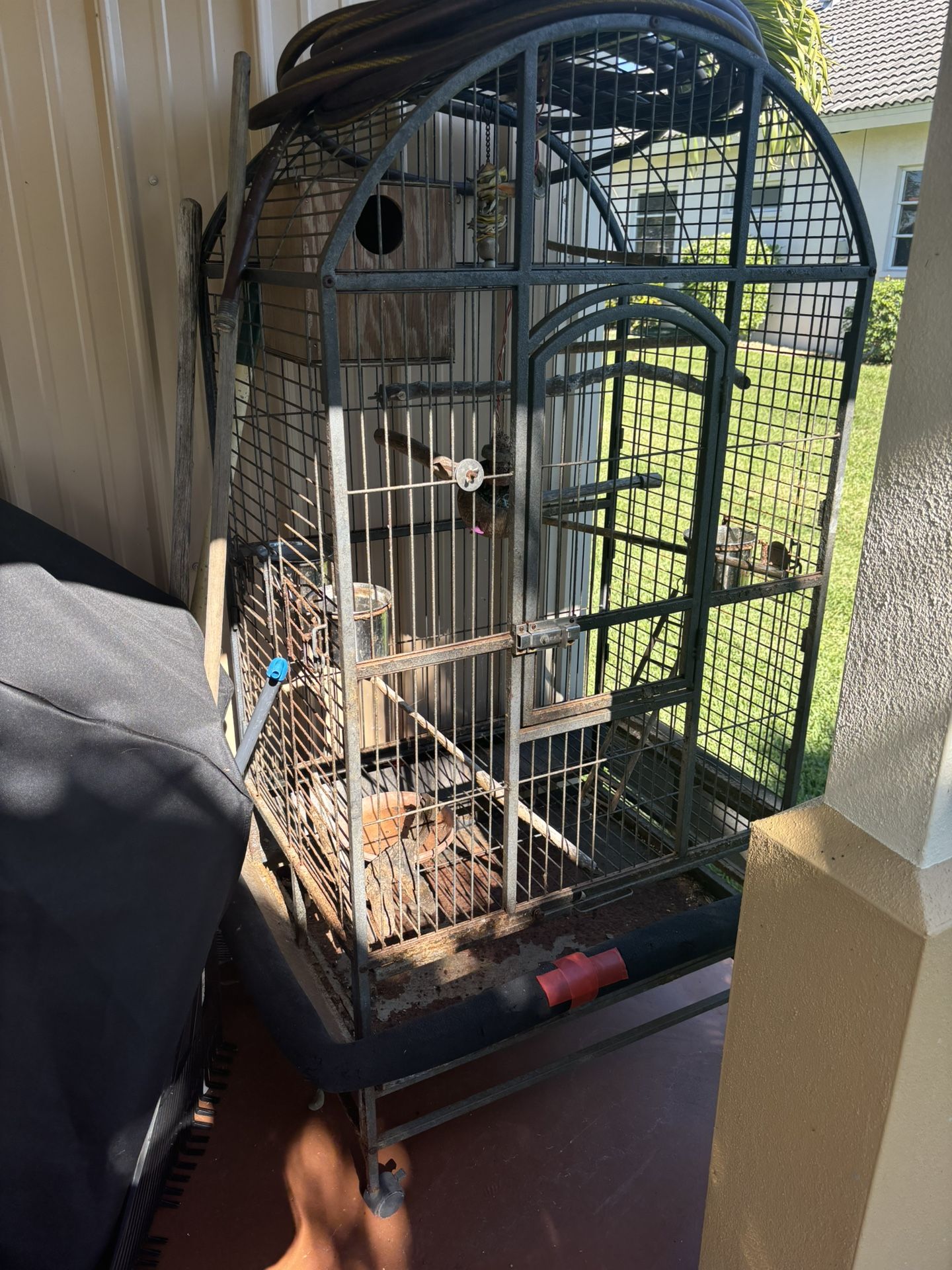 Bird Cage