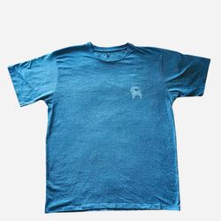 Blue Backcountry t-shirt