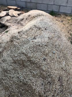 Saw Dust