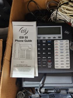 ESI Digital Phones & Communications Server