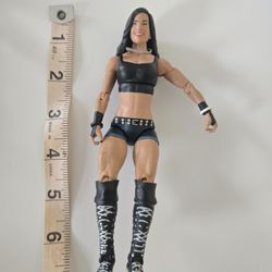 WWE Woman Action Figure 
