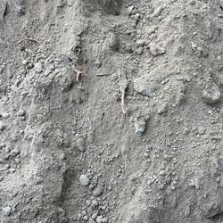 Free Fill Dirt