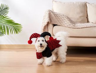 Jester Clown Dog Costumes, Pet Halloween Cosplay Hoodie Funny Outfits Apparel