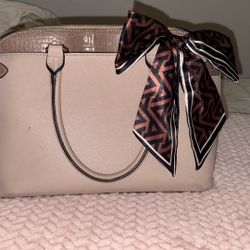 Aldo Purse