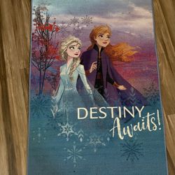 Kids Frozen Destiny Rug.  Large size 62”x39” shown on pictures.  Can spot clean. Paid $80+.  Non smoking and No pets home.