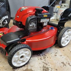 Toro Self Propelled Lawn Mower 