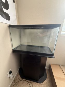 Complete Corner Aquarium Setup with Stand and LED Light