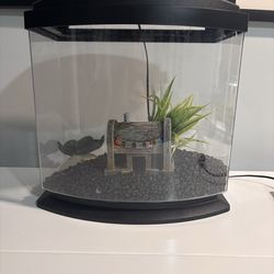Medium Fish Tank with Built-in Light, Plants, Black Rocks & Kristy Crab House