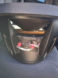 12" Subwoofer Alpine Works