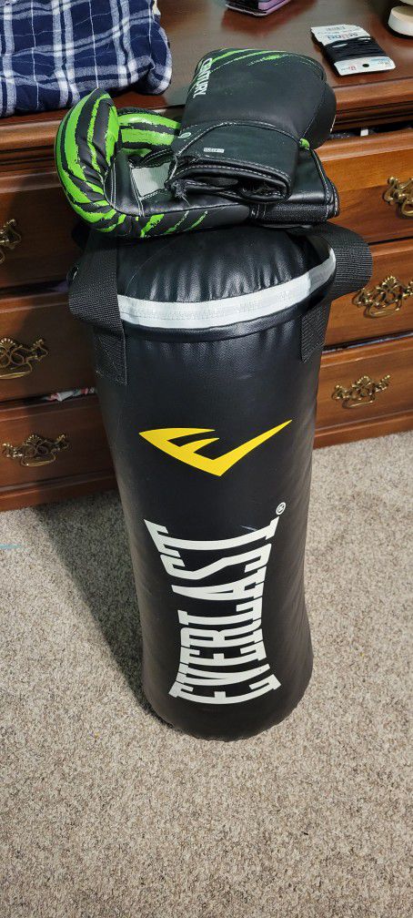 Everlast Punching Bag And Gloves