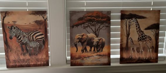 Safari canvas