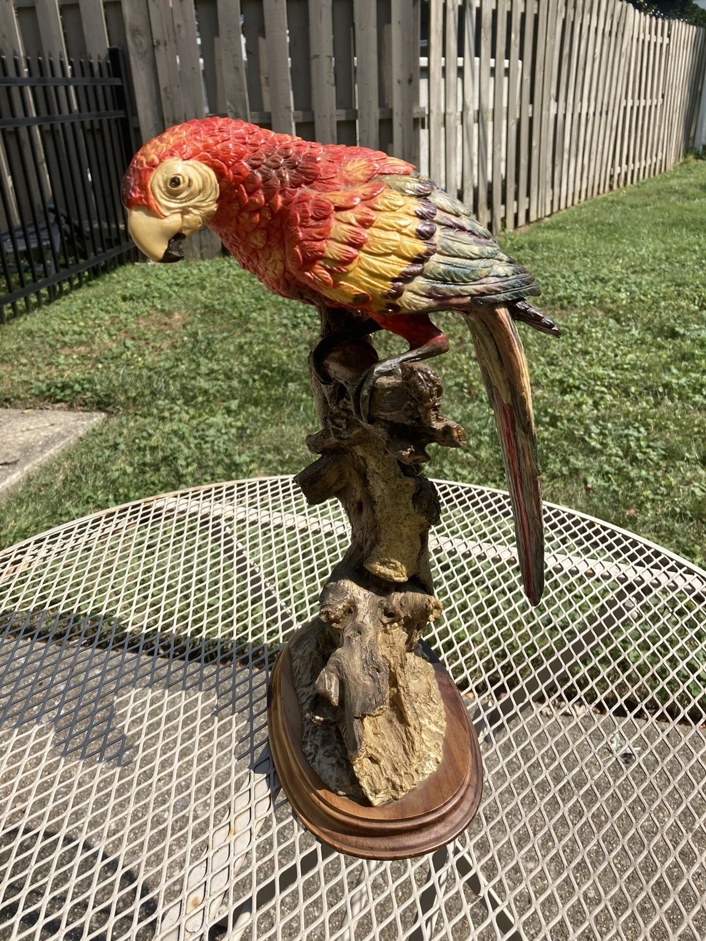 Tropical Parrot Statue - SALE