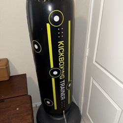 New Never Used - Punching Bag 