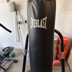 Everlast 90lb heavy bag with stand and speed bag