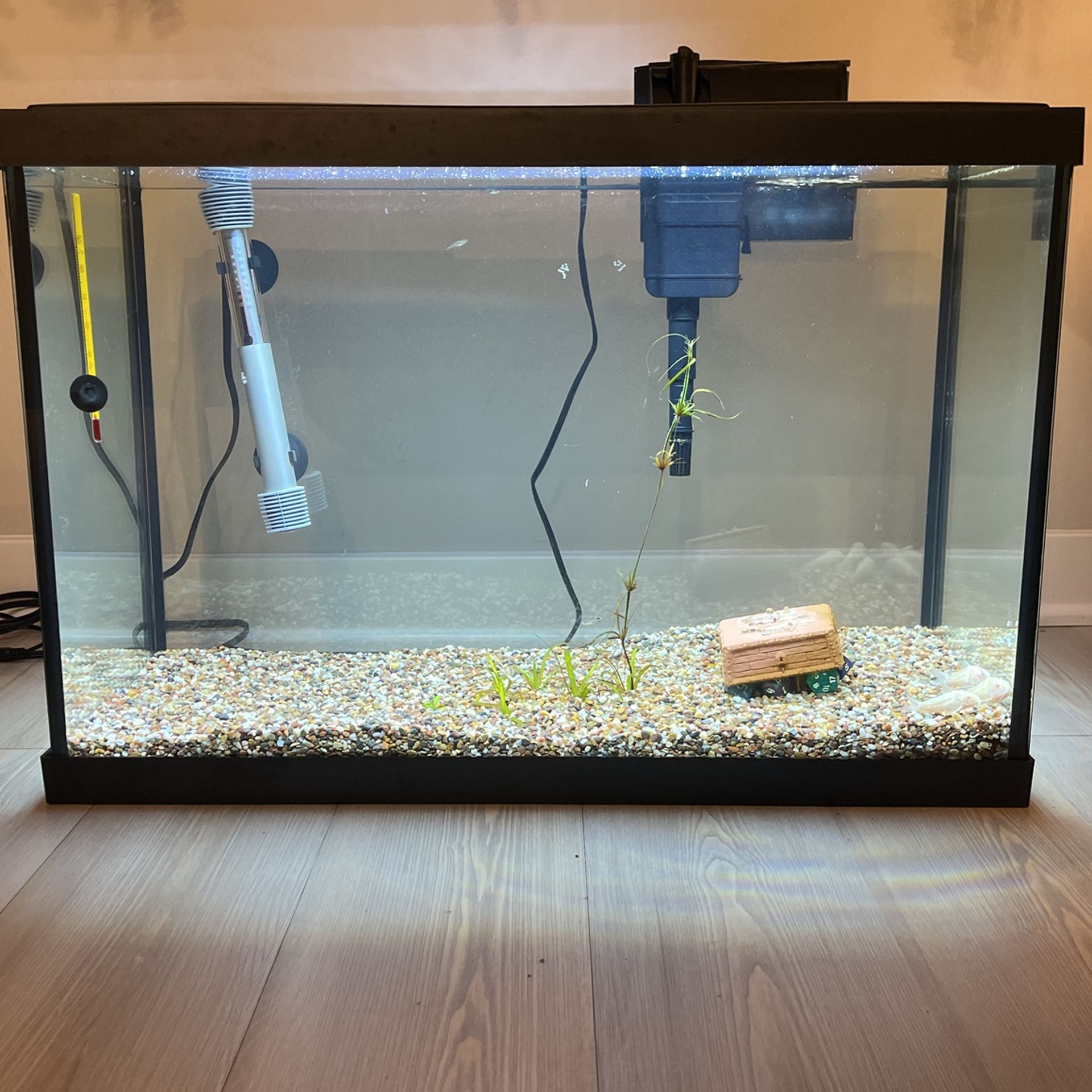 29 Gallon Fish Tank Kit