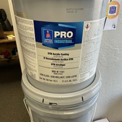 Pure White DTM  Paints 