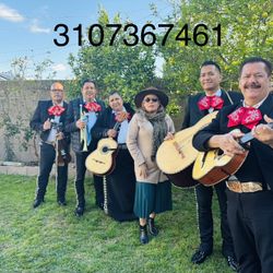 Violin Armonia De Mariachi 
