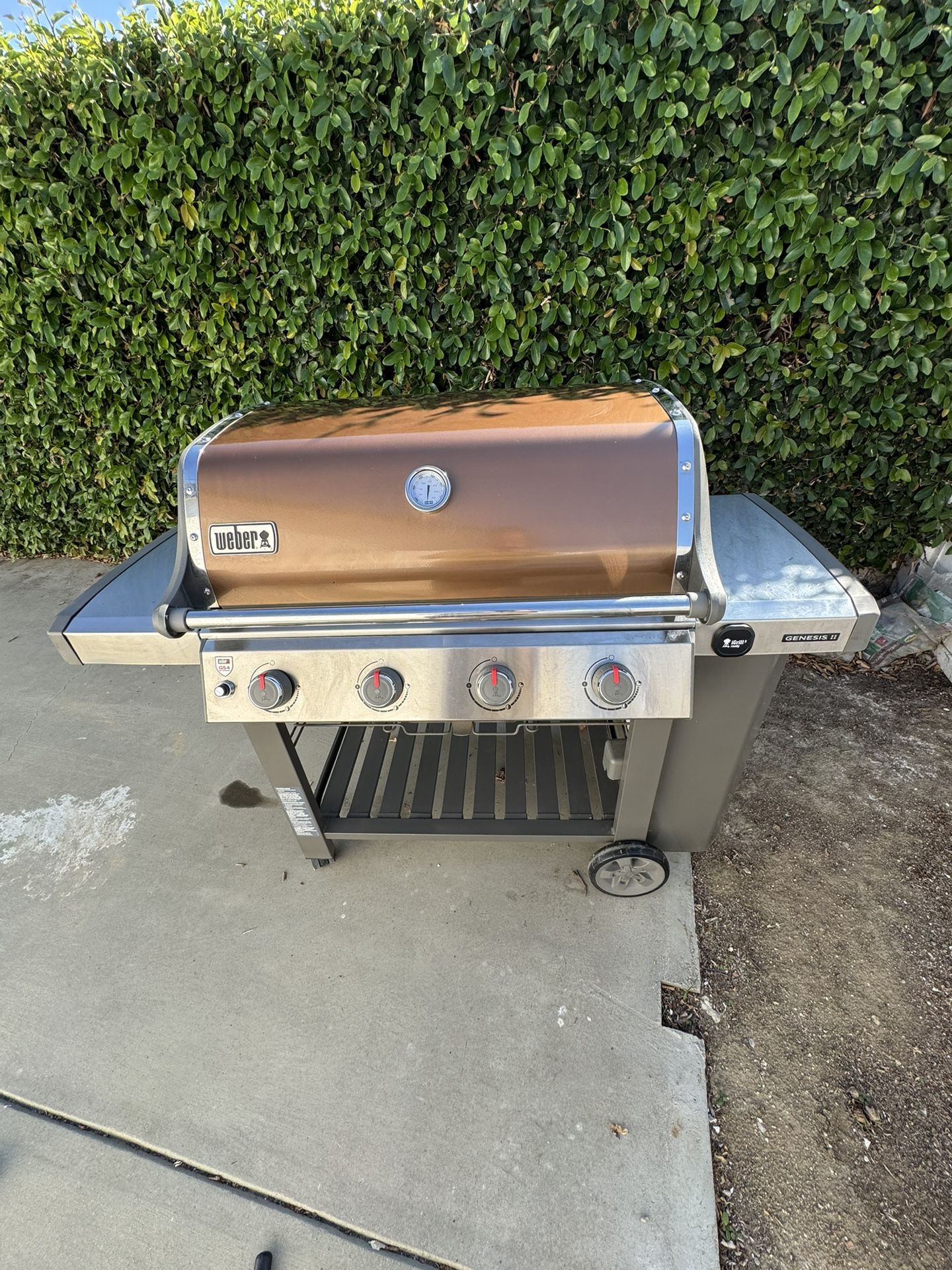 Weber BBQ Grill 