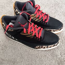 Air Jordan 3 instinct  Size 11