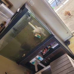 Fish Tank Glass With Stand