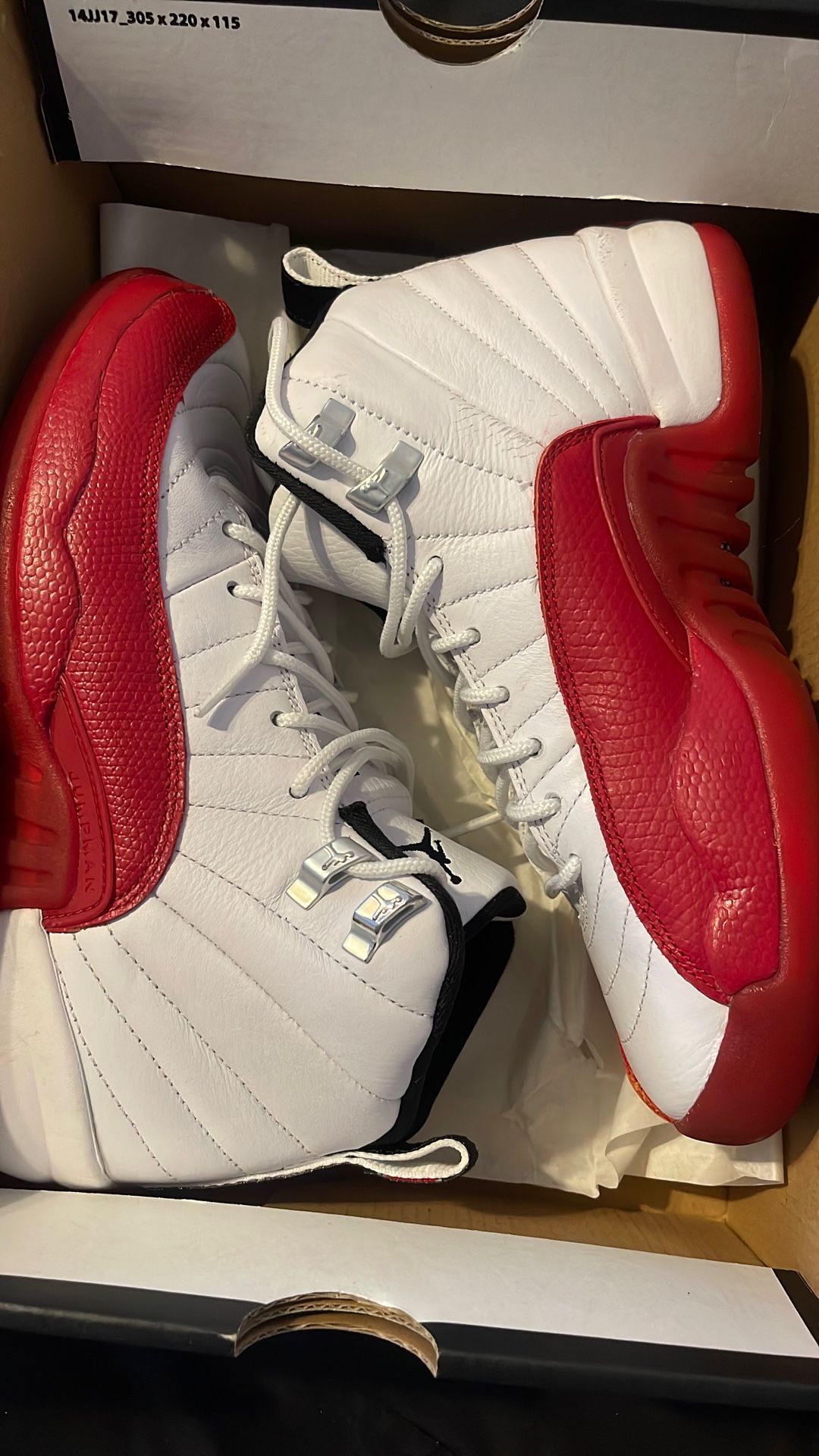 Big Kids Jordan 12