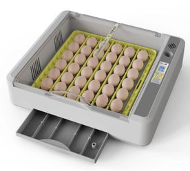 Incubator. 36 eggs automatic