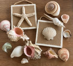 🐚 Beach Décor Bundle – $12