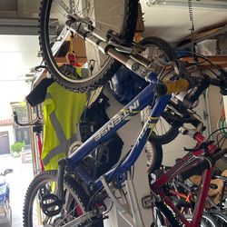 Mountain Bike Intense