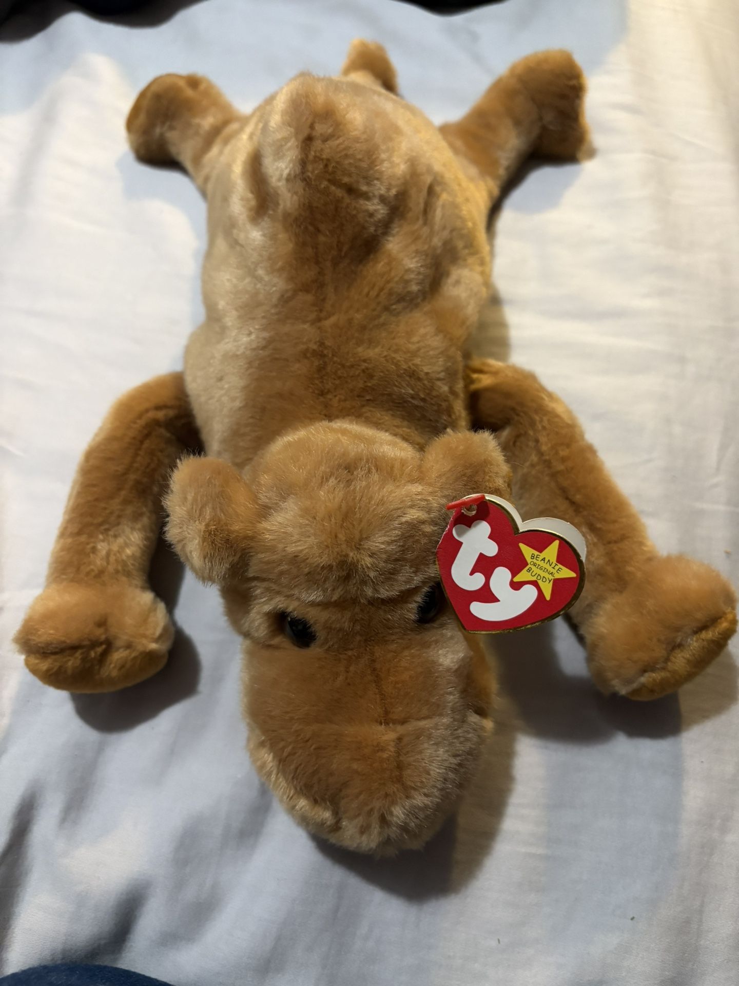 Beanie Baby Humphrey The camel - Rare