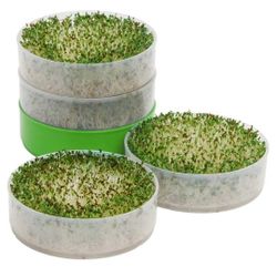  Kitchen Crop Seed Sprouter