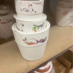 Water Pot For Plants  New Nuevo 