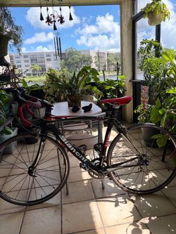 BIANCHI BIKE