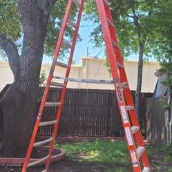 Louisville 12' Ladder 