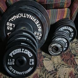255 lb Set Of Ferrigno 2 in Weight Plates