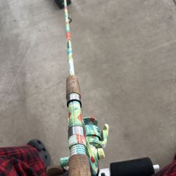 Profishiency Spinnig Rod Combo