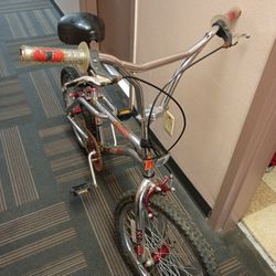 2001 Kent THRASHER 20 INCH BMX BIKE FSP 300