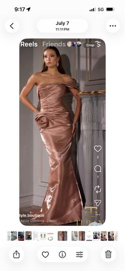 Terani  Coture Dress