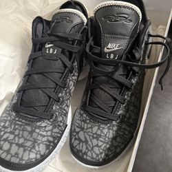 Nike Zoom LeBron NXXT 