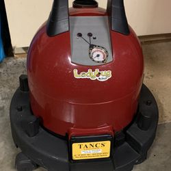 Ladybug 2300 Professional Steam Cleaner With TANCS