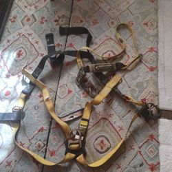 Safety Harness 