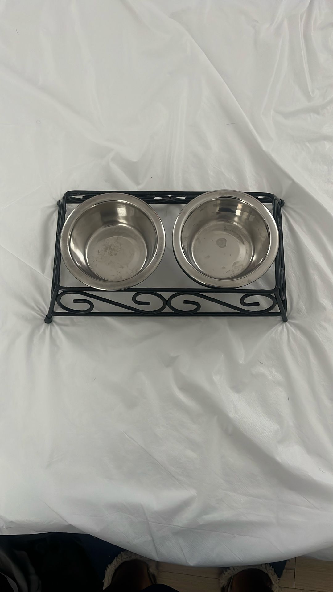 Puppy/kitten Water Bowls