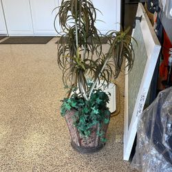 Fake Plant 10 Inches Wide 44 Inches Height